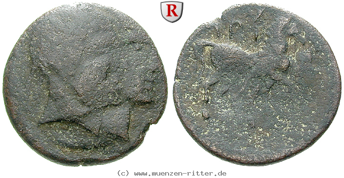zeugitana-bronze/24522.jpg