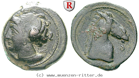 zeugitana-bronze/32236.jpg