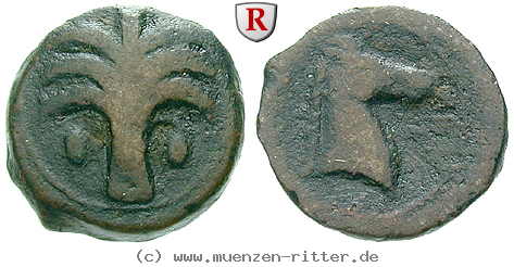 zeugitana-bronze/38622.jpg