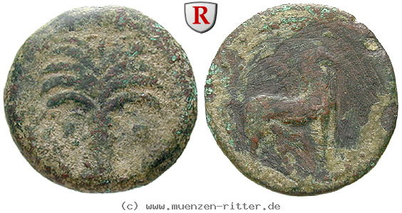 zeugitana-bronze/38716.jpg