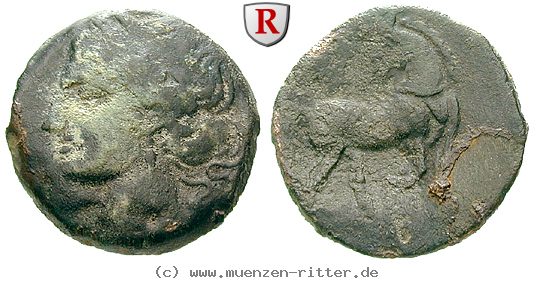 zeugitana-bronze/40665.jpg