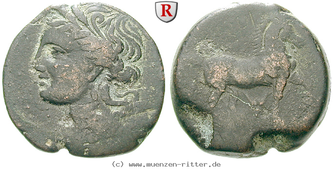 zeugitana-bronze/43344.jpg