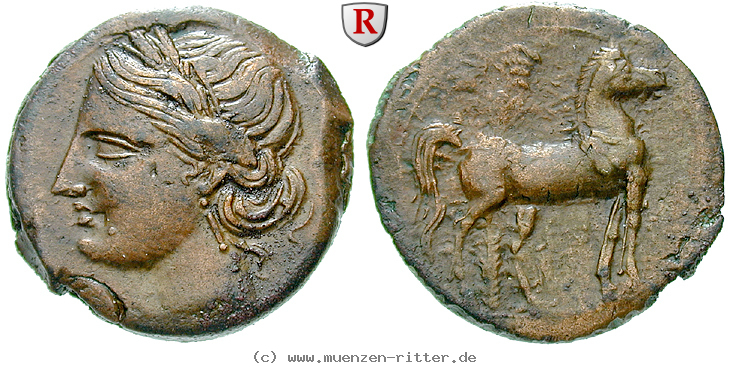 zeugitana-bronze/50211.jpg
