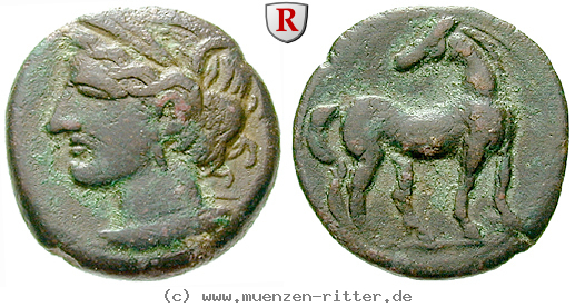 zeugitana-bronze/55337.jpg