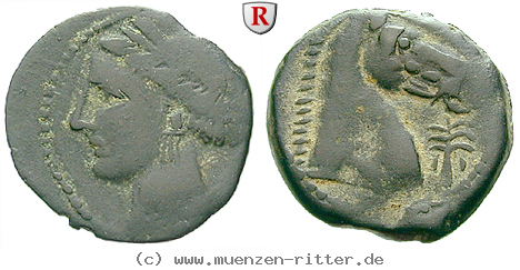 zeugitana-bronze/55351.jpg