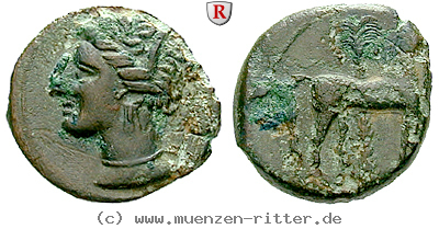 Klicken Sie auf das Bild um es auf Ihrem Rechner zu speichern zeugitana-bronze/55352.jpg