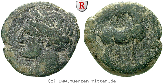 Klicken Sie auf das Bild um es auf Ihrem Rechner zu speichern zeugitana-bronze/91963.jpg