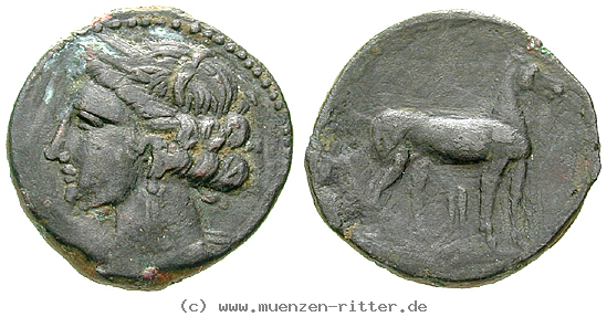 zeugitana-bronze/egri6376.jpg
