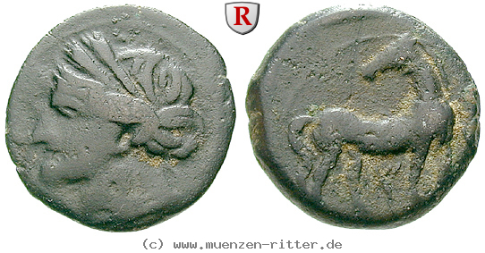 zeugitana-bronze/egri7403.jpg